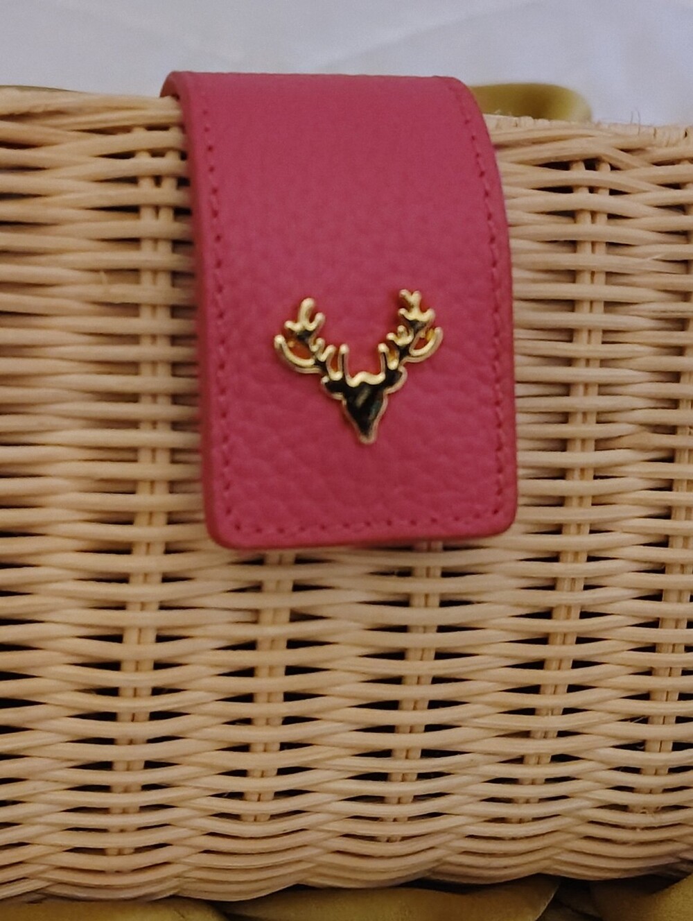 Authentic TAXIDERMY Cabana Collection Palm Wicker Clutch – Rare & Custom